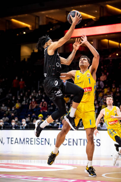 育事业的蓬 育事业的蓬